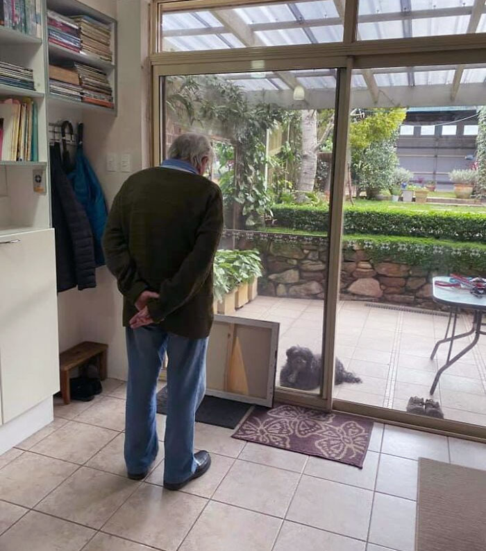 Our Grandfather (Who Has Dementia) Felt Really Sad For The Dogs Who Had To Stay Outside. So He Spent The Day Entertaining Them By Showing Them Various Paintings