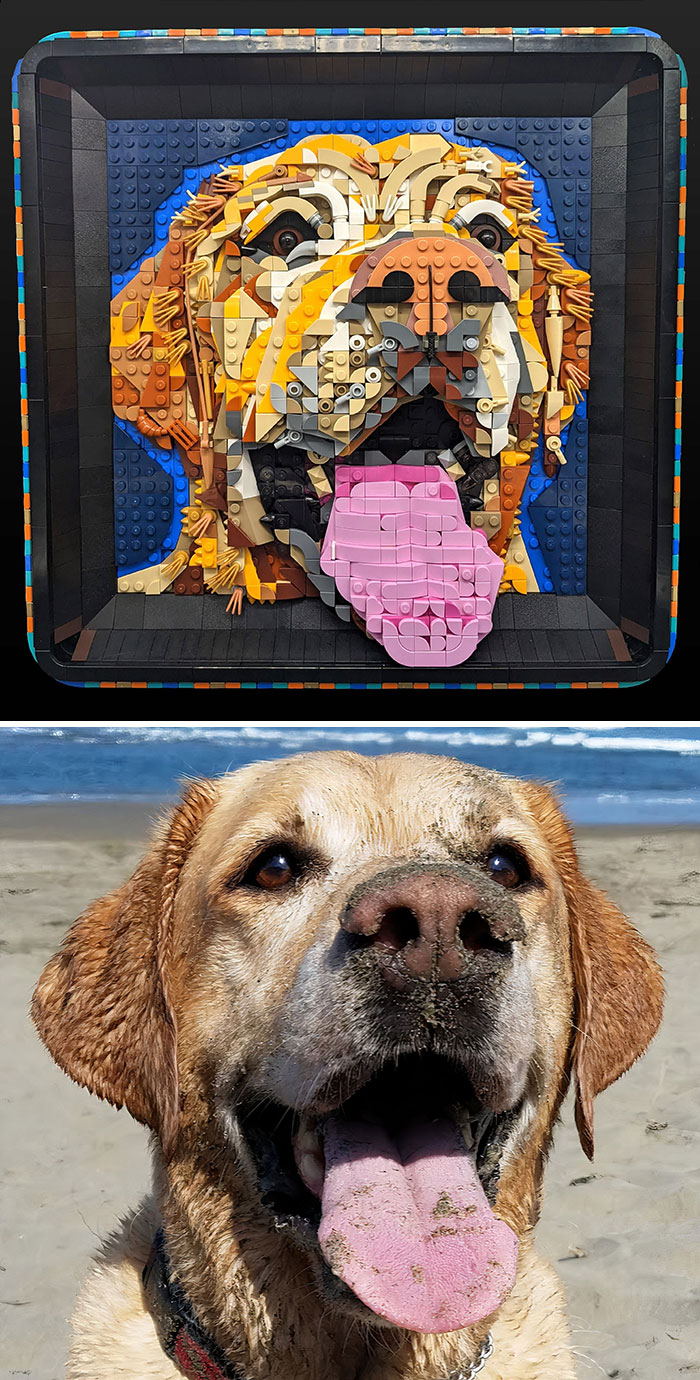 Un retrato para conmemorar a mi mejor amigo Arden, que falleció a principios de este año tras una vida larga y llena de aventuras