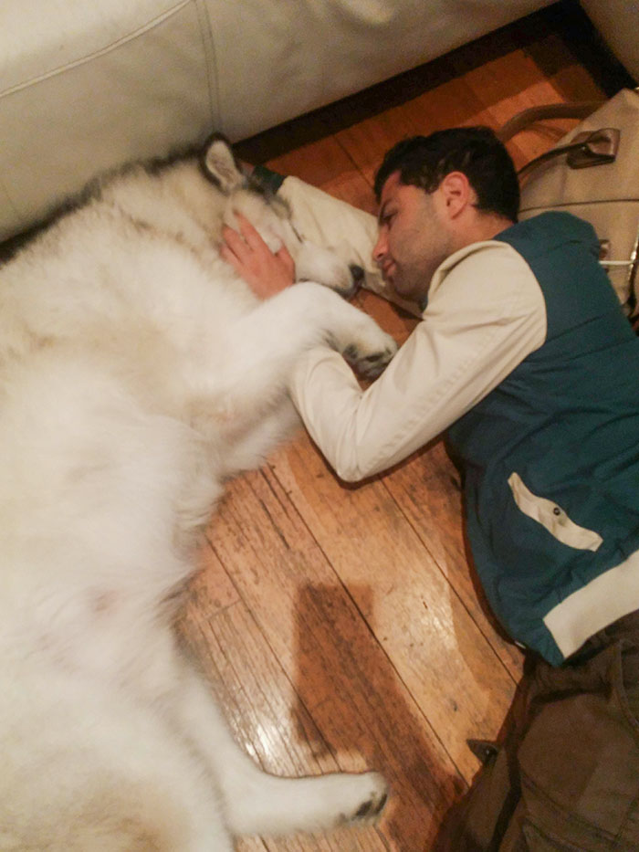 My Brother Had Only Just Met Him For The First Time Moments Before This Picture Was Taken