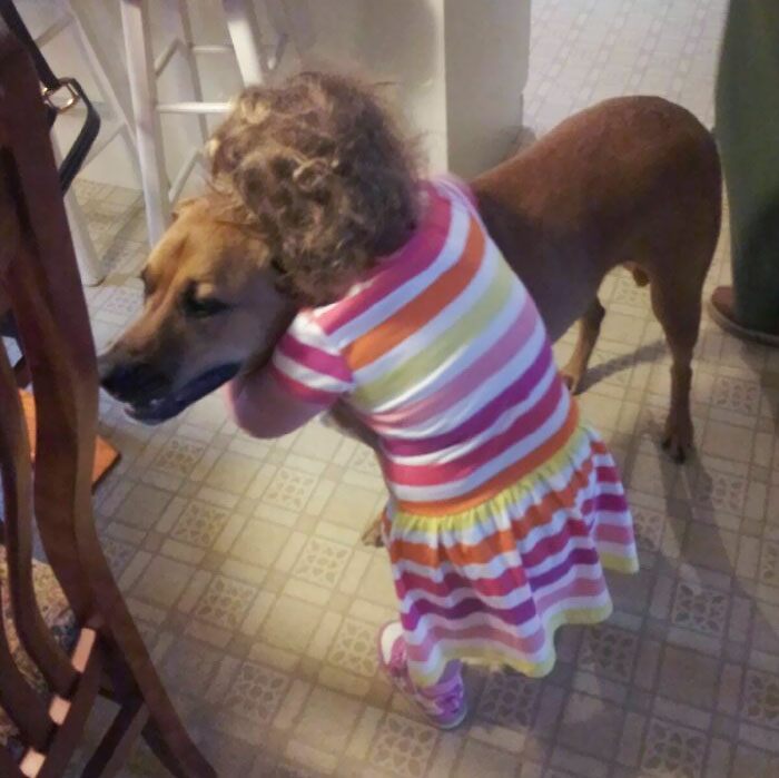 She Hugs Literally Every Dog She Sees