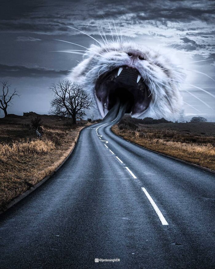 Indian Uses Photoshop To Create A Surreal And Unimaginable World (50 Pics)