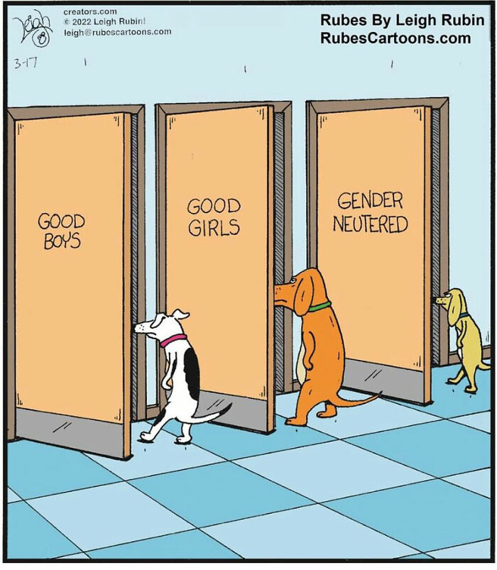 This Artist Creates Hilarious Comics With One-Panel Sudden Twists