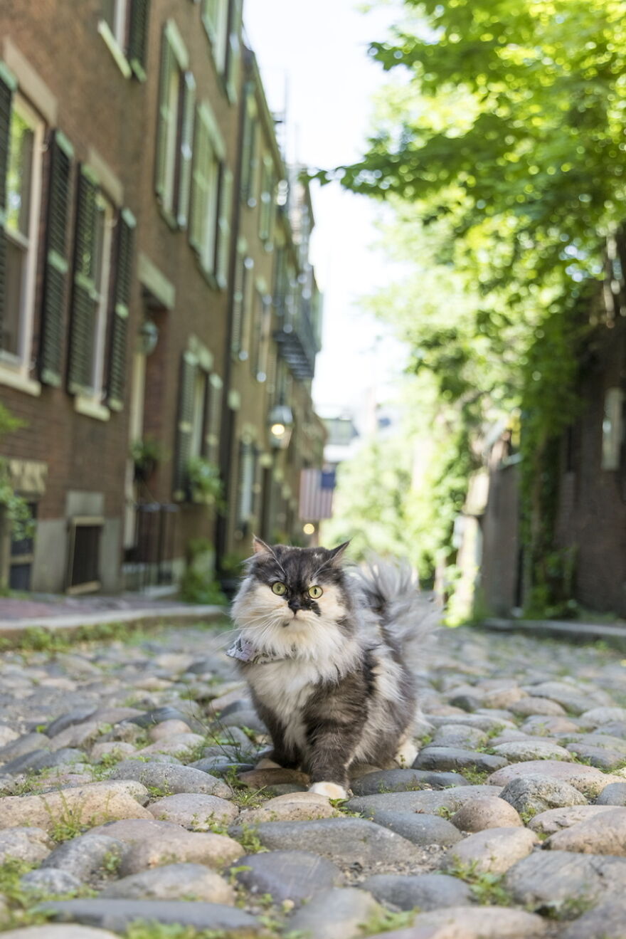 Boston, Where She Was Born