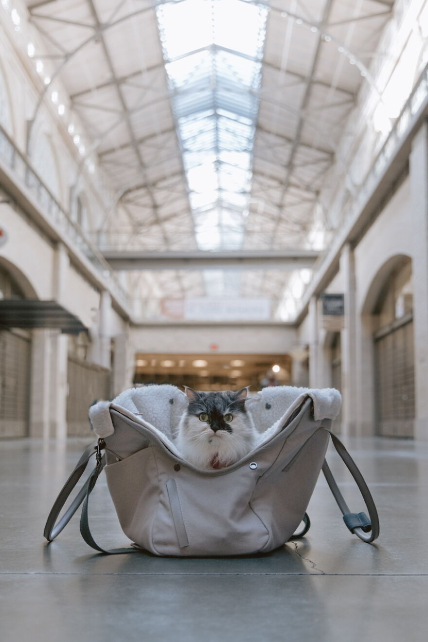 San Francisco Ferry Building