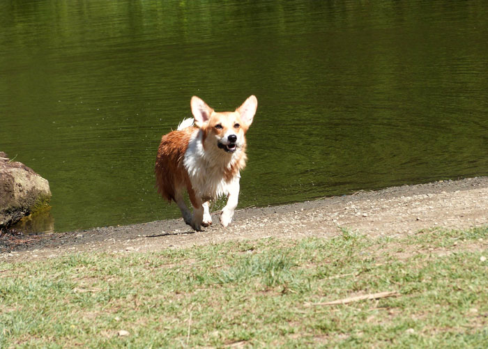 Woman Pranks Her Karen Neighbor By Sending Her A Glitter Bomb For Christmas, Investigating Police Officer Comes Over To Just Laugh About It Woman Pranks Her Karen Neighbor By Sending Her A Glitter Bomb For Christmas, Investigating Police Officer Comes Over To Just Laugh About It
