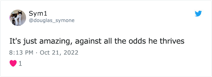 &ldquo;The Universe Certainly Has A Great Sense Of Humor&rdquo;: A Twitter User Shared Her Story Of Adopting And Taking Care Of An Abandoned Newborn Mouse