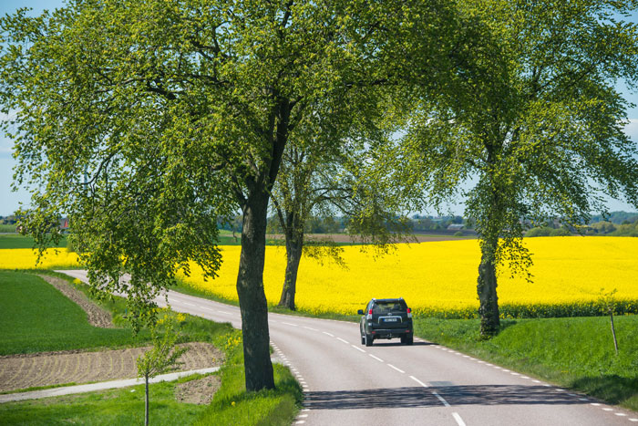 "AITA For Leaving My Sister And Her Husband On The Side Of The Road?" "AITA For Leaving My Sister And Her Husband On The Side Of The Road?"