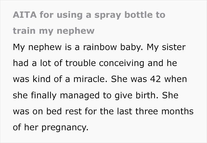 "He Is A Monster": Aunt Uses A Spray Bottle To Discipline Her "Rainbow Baby" Nephew Who Is Spoiled Beyond Belief, Causes Drama "He Is A Monster": Aunt Uses A Spray Bottle To Discipline Her "Rainbow Baby" Nephew Who Is Spoiled Beyond Belief, Causes Drama