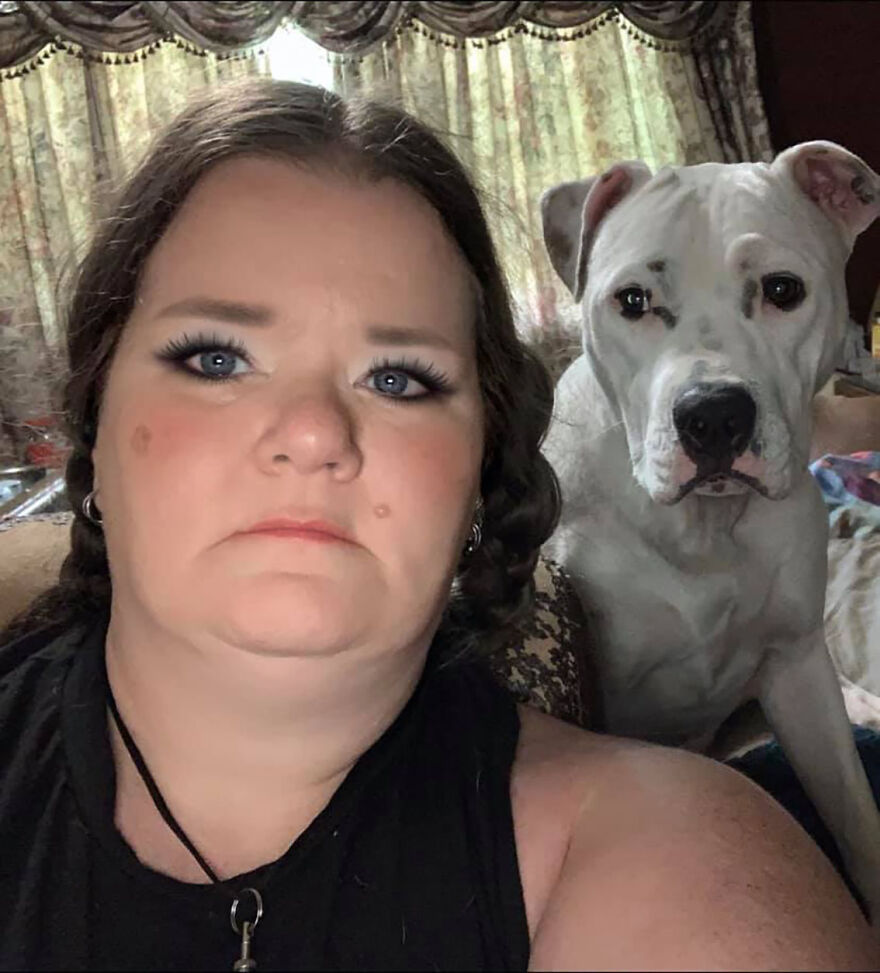 Pitbull: Misunderstood Or Dangerous?
