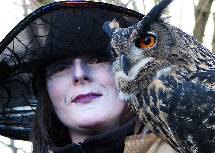 Man Captures Owl Flying Away With Child’s Hobby Horse Like A Witch Riding A Broom, Leaves The Internet In Stitches Man Captures Owl Flying Away With Child’s Hobby Horse Like A Witch Riding A Broom, Leaves The Internet In Stitches