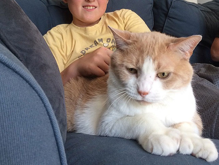 16 Y.O. Loses His Neighbor's Cat That He Was Supposed To Pet Sit, His Mom Is Upset About The Neighbors Refusing To Pay For His Work