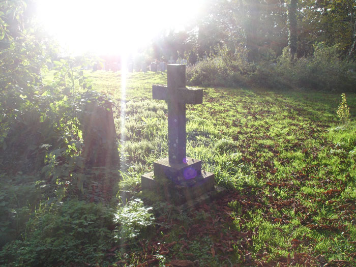 “AITA For Only Taking My Nieces In And Not Their Dad After My Sister Passed Away?” “AITA For Only Taking My Nieces In And Not Their Dad After My Sister Passed Away?”