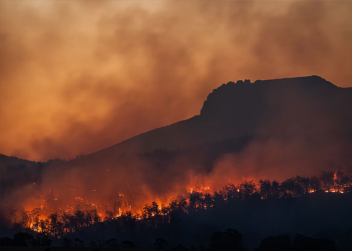 People Get Raw And Honest About Whether They Regret Not Having Kids Now That They're Over 40