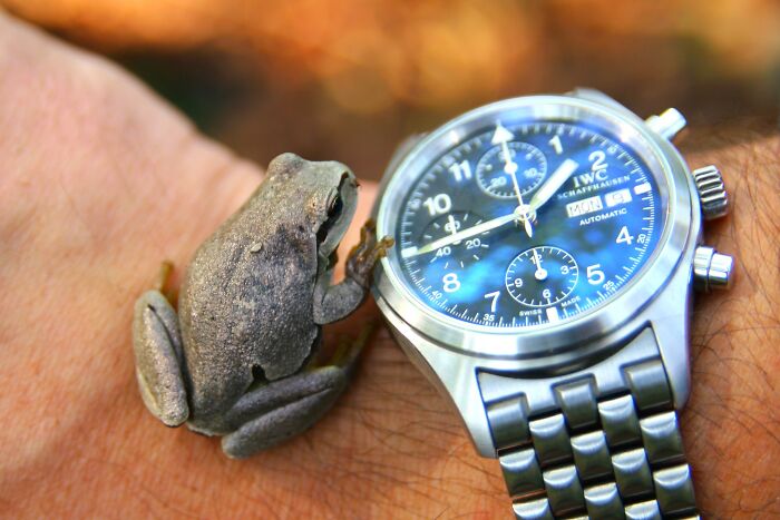 30 Things That Immediately Make People Angry Because They Are So Annoying, As Shared In This Online Group