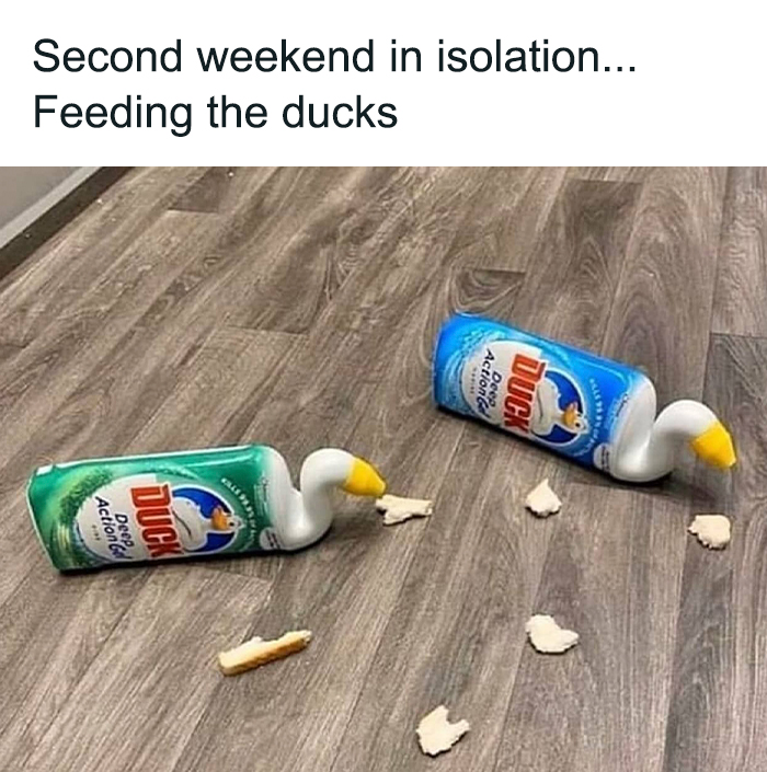 Relatable-British-Memes