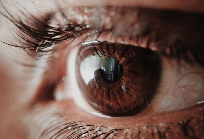 Which Sense Is Your Favorite, Seeing, Hearing, Tasting, Smelling, Or Feeling?