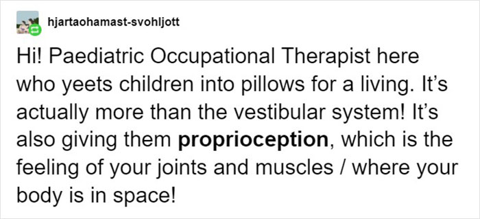 &ldquo;Yeet The Child For Their Health&rdquo;: Children&rsquo;s Therapist Breaks Down Why It&rsquo;s Important To Yeet Your Kids At Soft Things Regularly