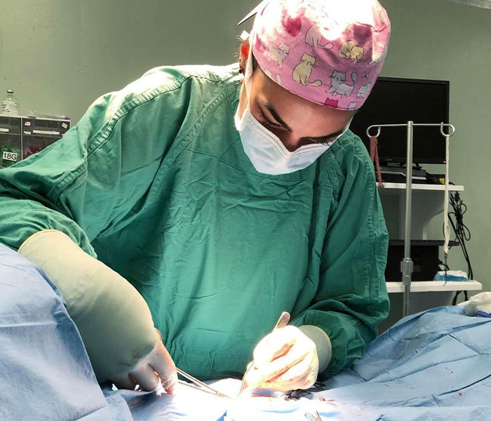 Woman Honors The Achievements Of Over 1,700 Unknown Female And Minority Scientists By Writing Their Bios On Wikipedia