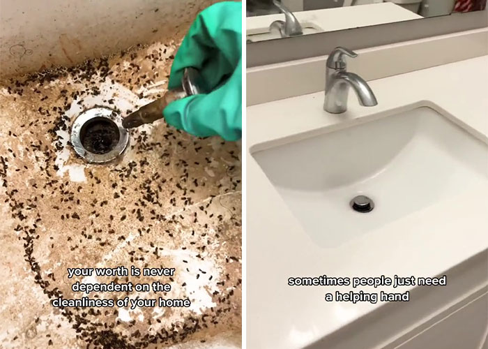 Psychology Student Deep Cleans “Unlivable” Homes To Help Their Owners’ Mental Health Psychology Student Deep Cleans “Unlivable” Homes To Help Their Owners’ Mental Health