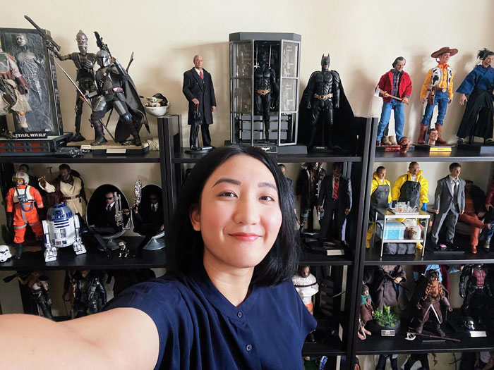 Action Figure Collection