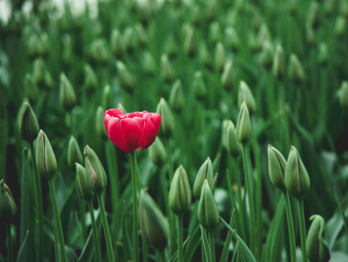 What Is One Thing That Makes You Unique?