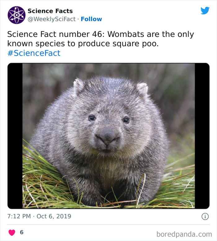 Science Facts