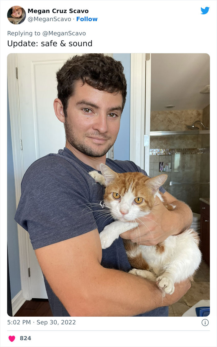 People Online Applaud Ordinary Heroes Who Risked Their Lives To Save Stranded Animals During Hurricane Ian