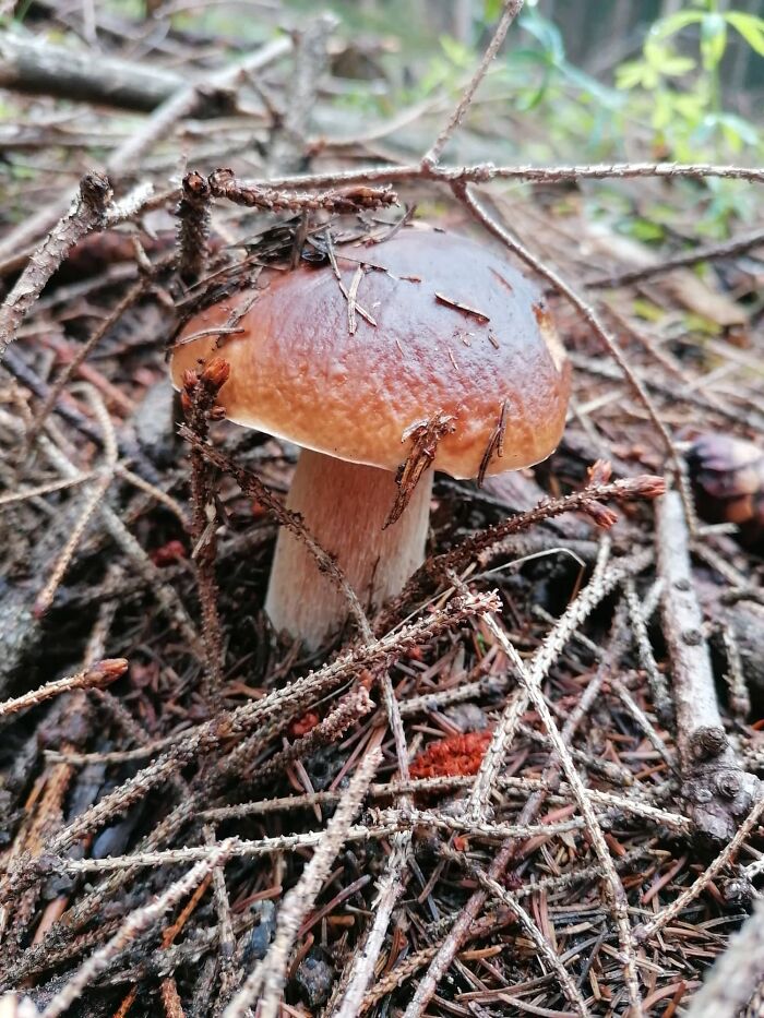 Ružomberok, Slovakia