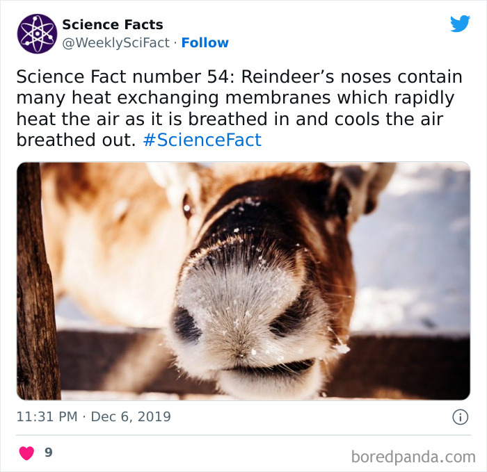 Science Facts
