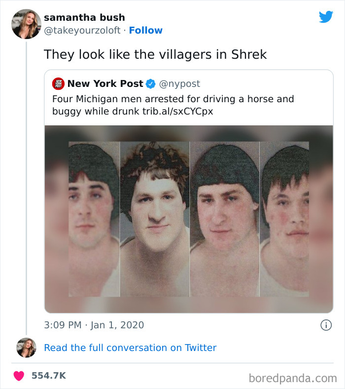 Funny-Rare-Insults-Twitter