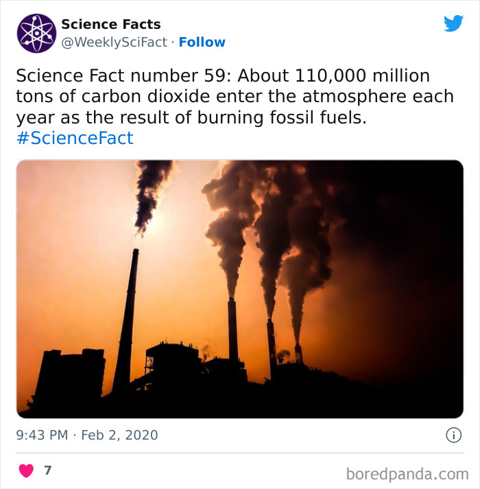Science Facts