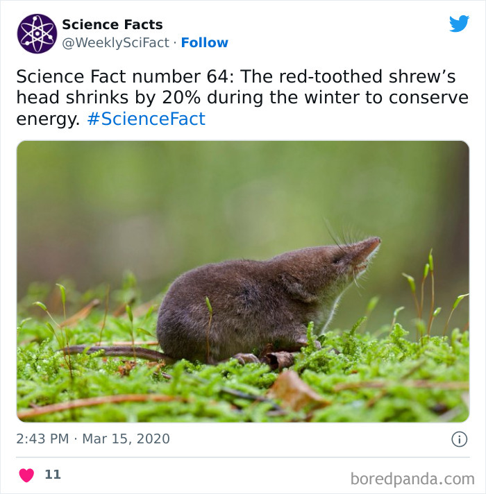 Science Facts