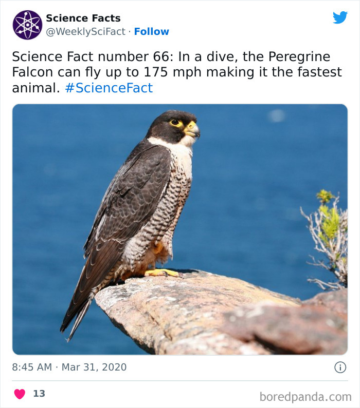 Science Facts