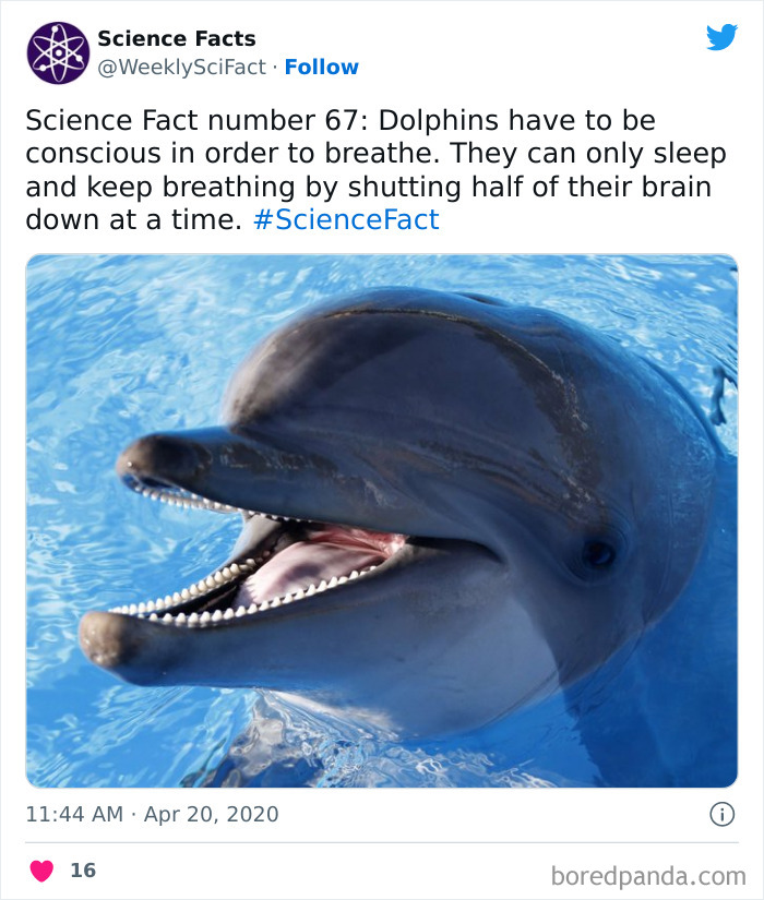 Science Facts