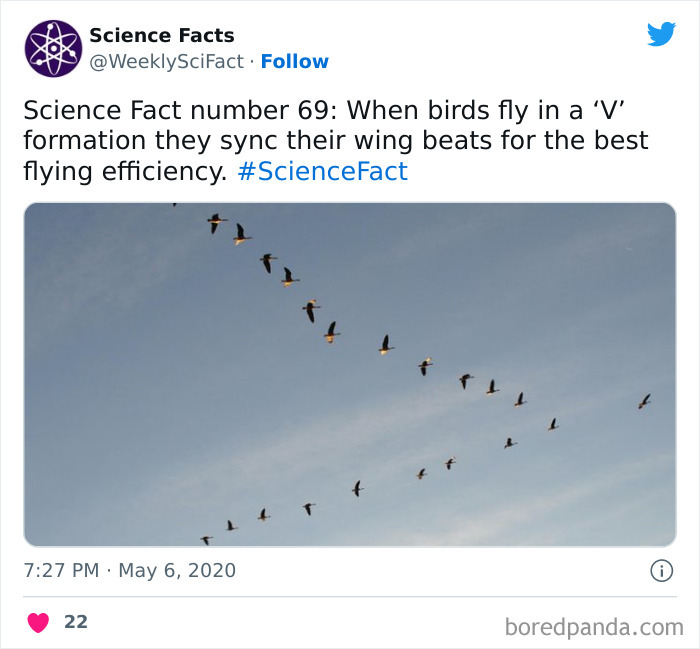Science Facts