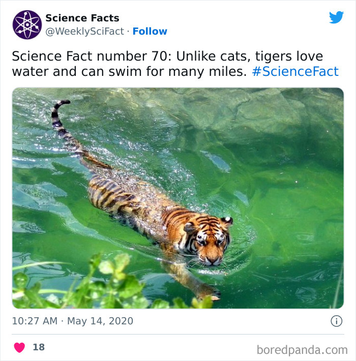 Science Facts