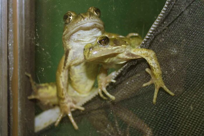 Brought A Pal - Freiburg, South Germany