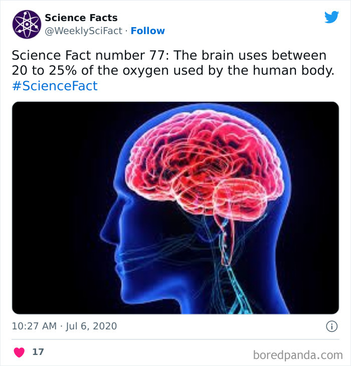 Science Facts