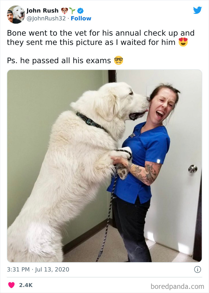 He Scored A Perfect Score On His Body Conditioning Test