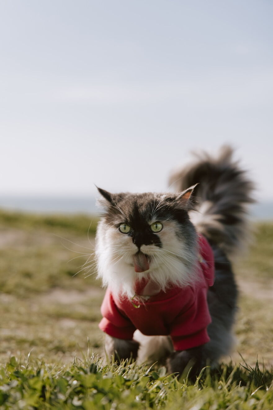 Half Moon Bay, California