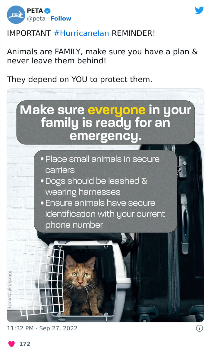 People Online Applaud Ordinary Heroes Who Risked Their Lives To Save Stranded Animals During Hurricane Ian