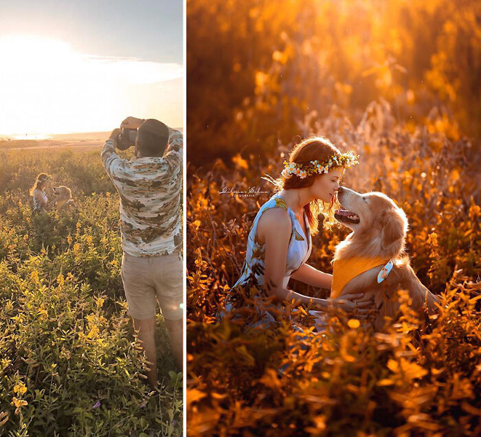 Photographer capturing a perfect professional photo of a woman with a dog in a sunlit flower field during golden hour.