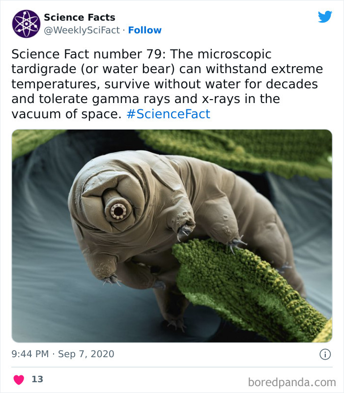 Science Facts