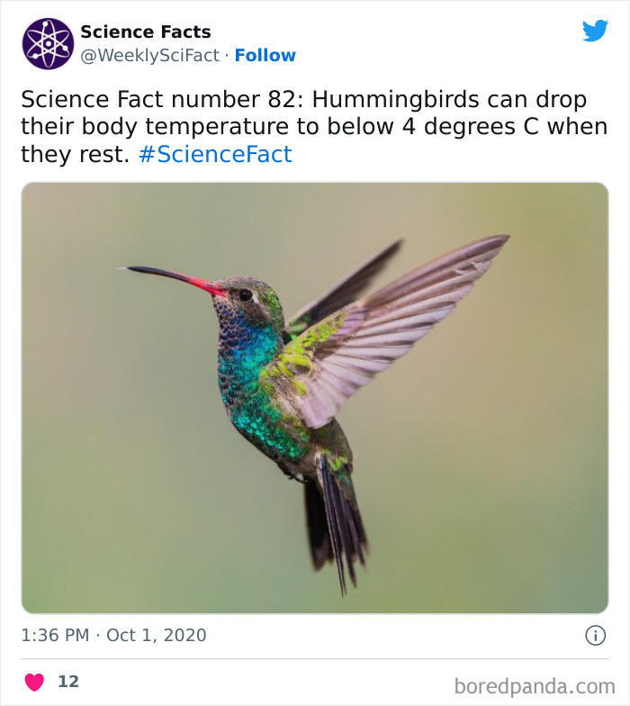 Science Facts