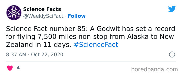 Science Facts