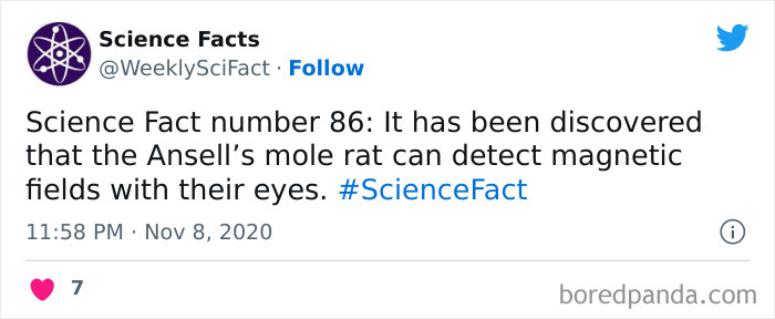 Science Facts
