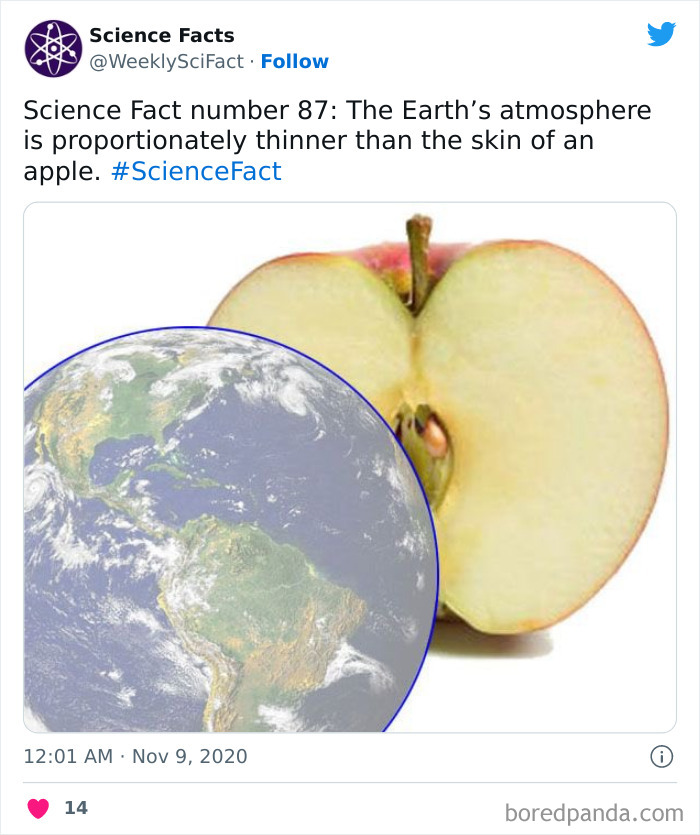 Science Facts