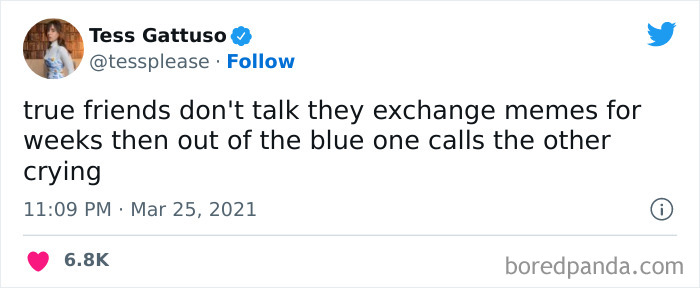 Modern Day Friendships Are Held Together By A Fun Mixture Of Cat Videos And Full Emotional Meltdowns