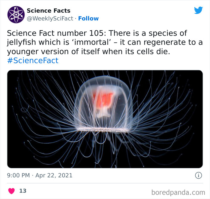 Science Facts