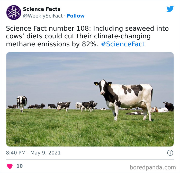 Science Facts